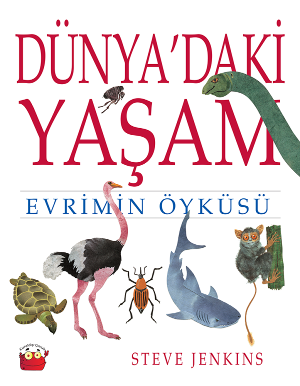 Dünya’daki Yaşam