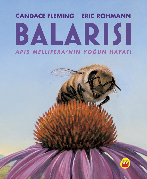 Balarısı